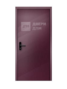Однопольная ДПМ-01 EI-30 глухая противопожарная дверь со скрытыми петлями